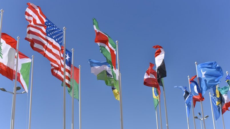 Flags bs vladislav-klapin