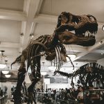 Dinozur