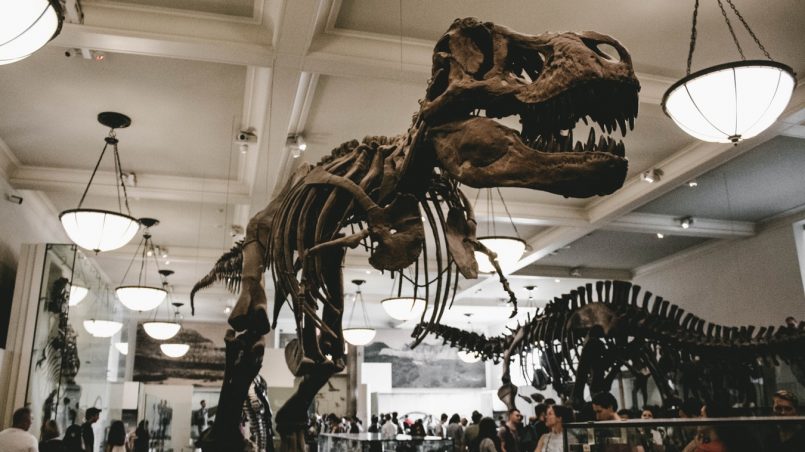 Dinozur